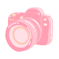 Camera Photographer Sticker by Stephanie Ann Bagley