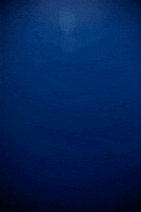 Taco Time GIF by bartacolife