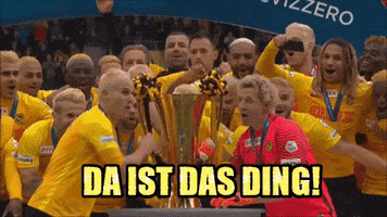 meister bscyb GIF by BSC Young Boys