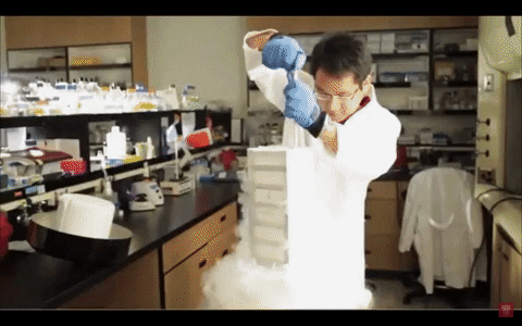 Chemistry Lab GIF by USC
