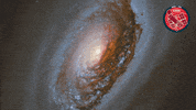 Universe Galaxy GIF by ESA/Hubble Space Telescope