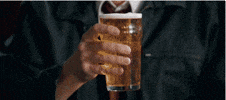 shaun of the dead GIF