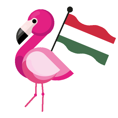 Flag Flamingo Sticker by lastminute.com