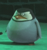 Mad The Penguins Of Madagascar GIF