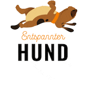 Hund Flensburg Sticker by foerdehunde