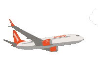 Sunwing fly plane airplane flight Sticker