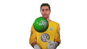 World Cup Football Sticker by VfL Wolfsburg