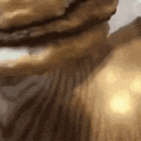Cat Burger GIF