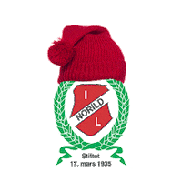Football Soccer Sticker by Norild