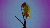 say it skin GIF by Flume