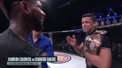 GIF by Bellator