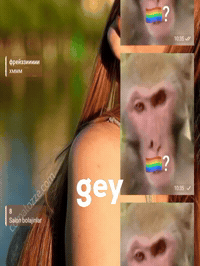 Gey GIF