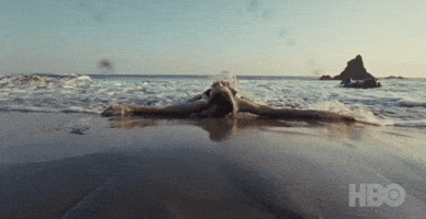 Summer Beach GIF by euphoria