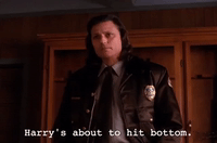 season 2 hawk GIF by Twin Peaks on Showtime