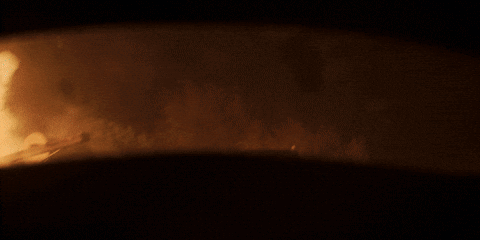 Dream Big Timothee Chalamet GIF by A24