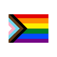 qnn_ pride queer trans progress Sticker