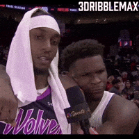 Timberwolves GIF
