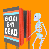 Register To Vote Election Day GIF by INTO ACTION