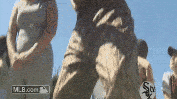 chicago whitesox GIF by MLB
