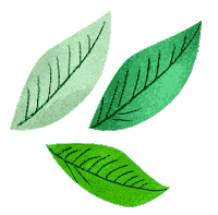 Leaf Leaves Sticker by Erstwilder