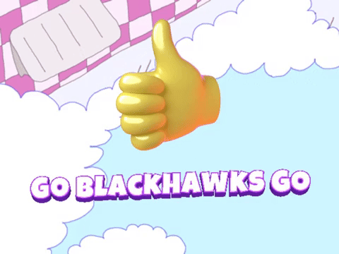 Go Blackhawks Go