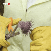 Sad Broken Heart GIF by TRT