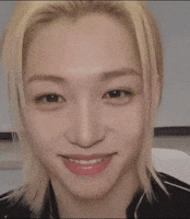 Stray Kids Skz GIF