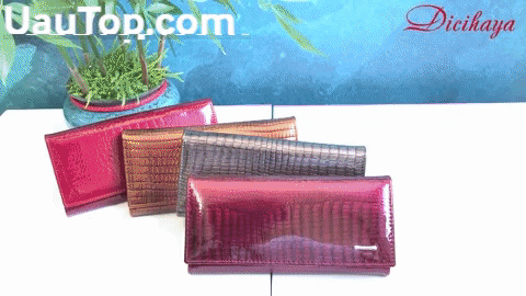 glaucofernandoujiiemaia giphygifmaker GIF