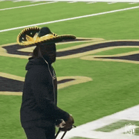 Regular Season Football GIF by NFL