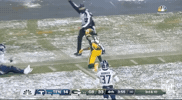 Regular Season Football GIF by NFL