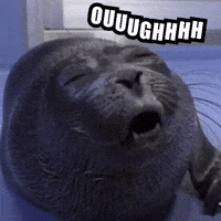 Seal Yell GIF