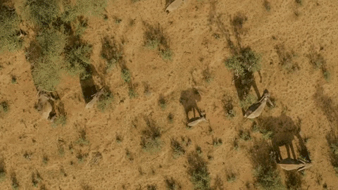 space beauty GIF by BBC Earth