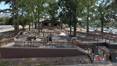 SamHoustonState giphygifmaker GIF