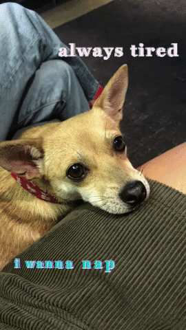 birdy GIF by garbage party