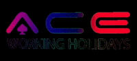 Aceworkingholidays ace maga ibiza napa GIF