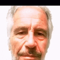 Island Epstein GIF