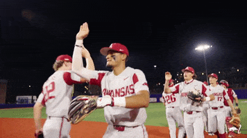 College Baseball GIF by Arkansas Razorbacks