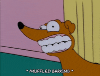 season 9 bark GIF