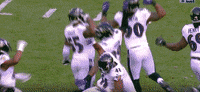 Happy National Football League GIF by Baltimore Ravens