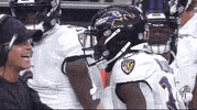 Baltimore Ravens Football GIF by NFL