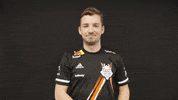 Global Offensive Love GIF by G2 Esports