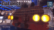 superguidatv ciao ciao darwin paolo bonolis ciao darwin 8 GIF