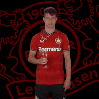 Celebrate Happy Birthday GIF by Bayer 04 Leverkusen