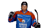 unisflyers goal hockey eagles flyers Sticker