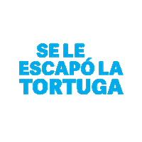 Diego Maradona Football Sticker by Clarín