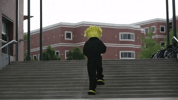 Wu_Shock wu wsu wushock shockers GIF