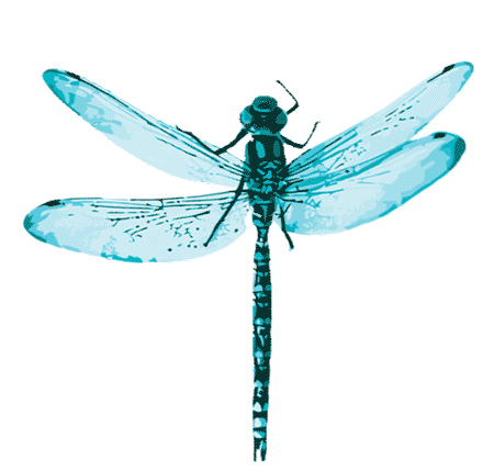 Fly Skate Sticker by New Balance Numeric