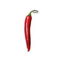 Red Chili Sticker by mybacs