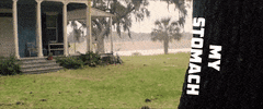 Captain America Marvel GIF by Leroy Patterson