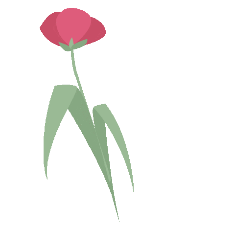 Flower Spring Sticker by Escuela CEADE Leonardo